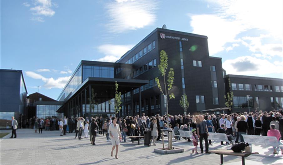 Universitetet i Agder