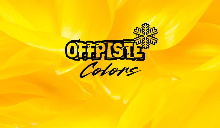 Offpiste Colors - Gul 23. Januar