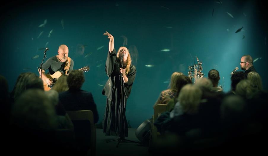 Konsert med Myrull på Under