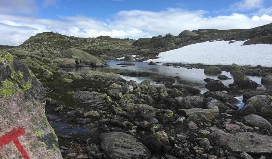 Fottur på Hovden