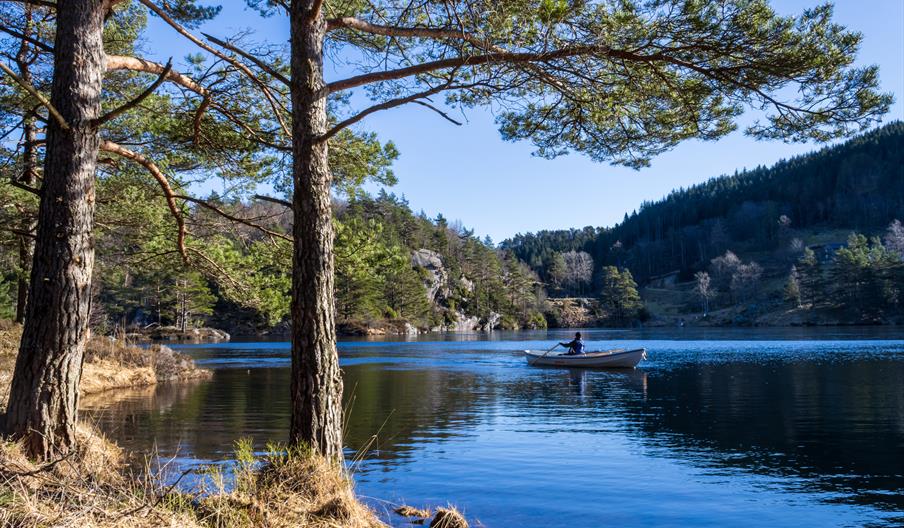 En person som sitter i en robåt på vannet