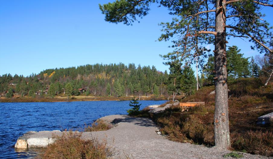 Fiskeplass ved Rundatjønn på Bortelid, Åseral
