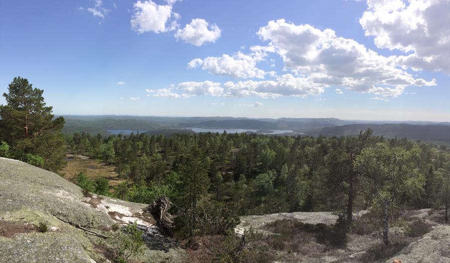 Grønfjell