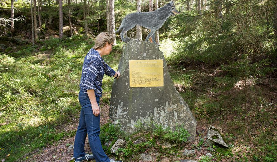 The Vegårshei wolf
