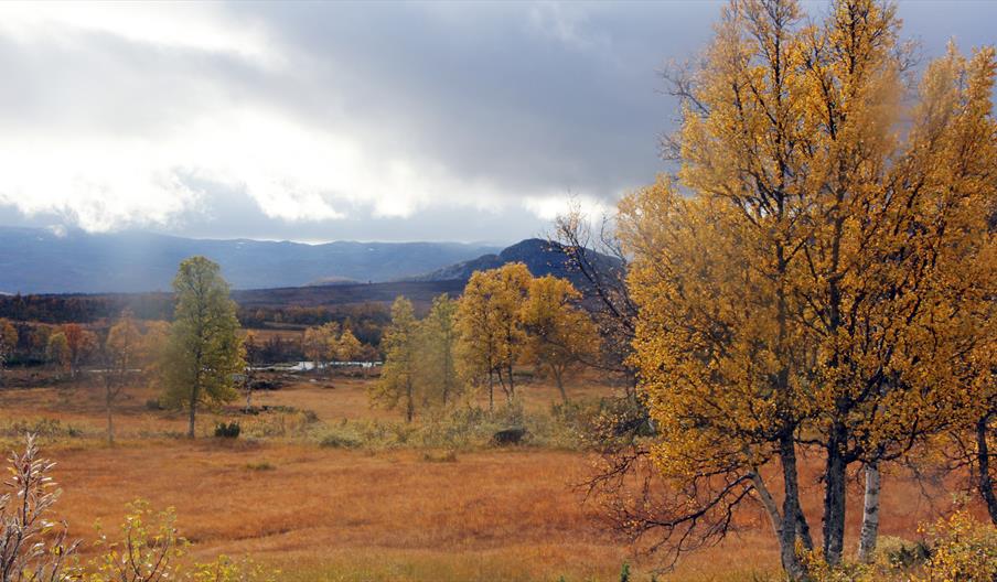 Bli med på tur(kveld).