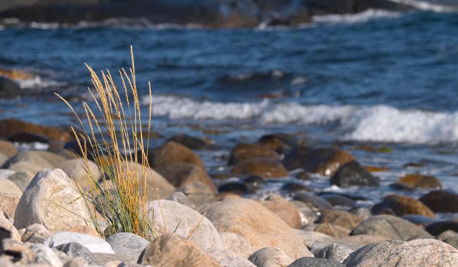 Boulder and pebble beach on Spornes, Tromøy island, outside of Arendal in Southern Norway, Peder Austrud.