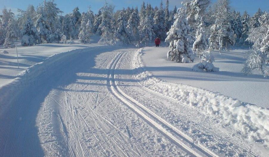 Øynaheia og Toplandsheia
