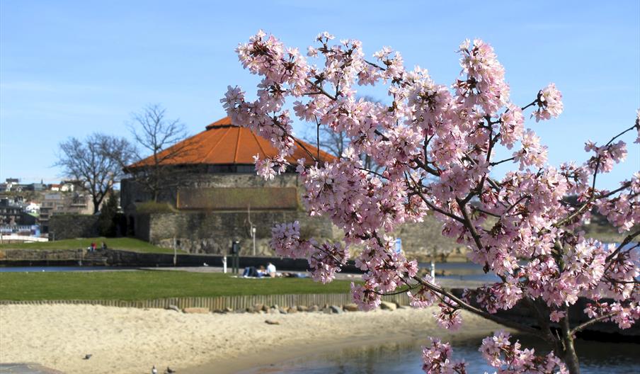 Byvandring i Kvadraturen og Posebyen