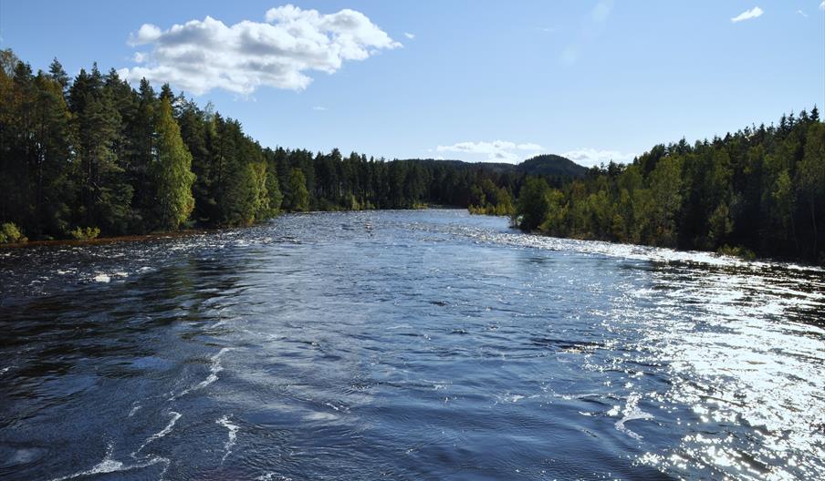Tovdalselva ved Teinefossen