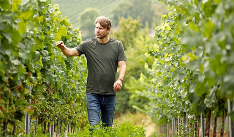 Winemakers Dinner med Alexander Pflüger