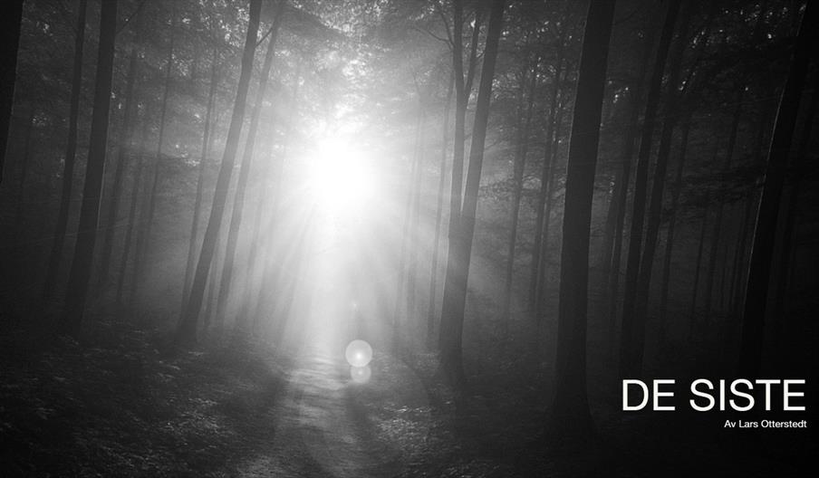 De Siste - Teater Manu