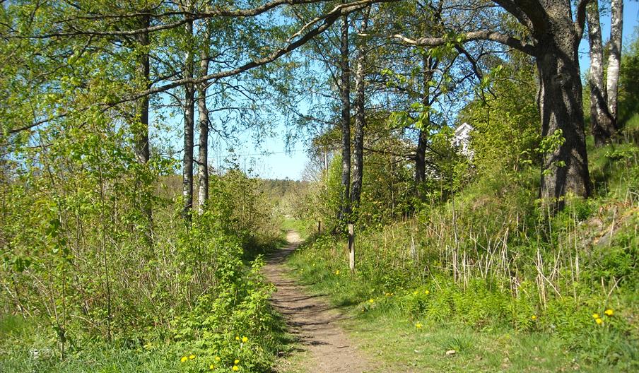Turtips i Grimstad