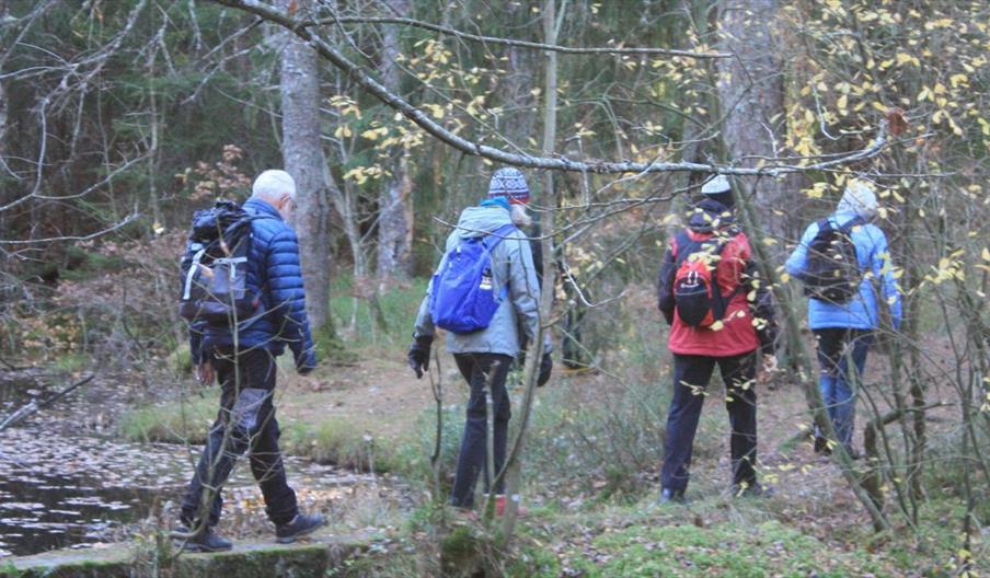 fire turgåere etter hverandre på en sti i skogen