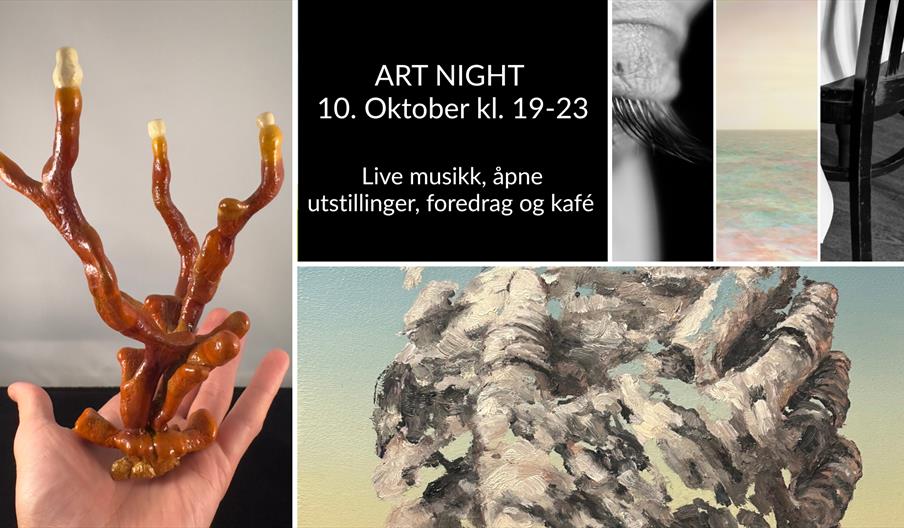 ART NIGHT på Søgne gamle prestegård