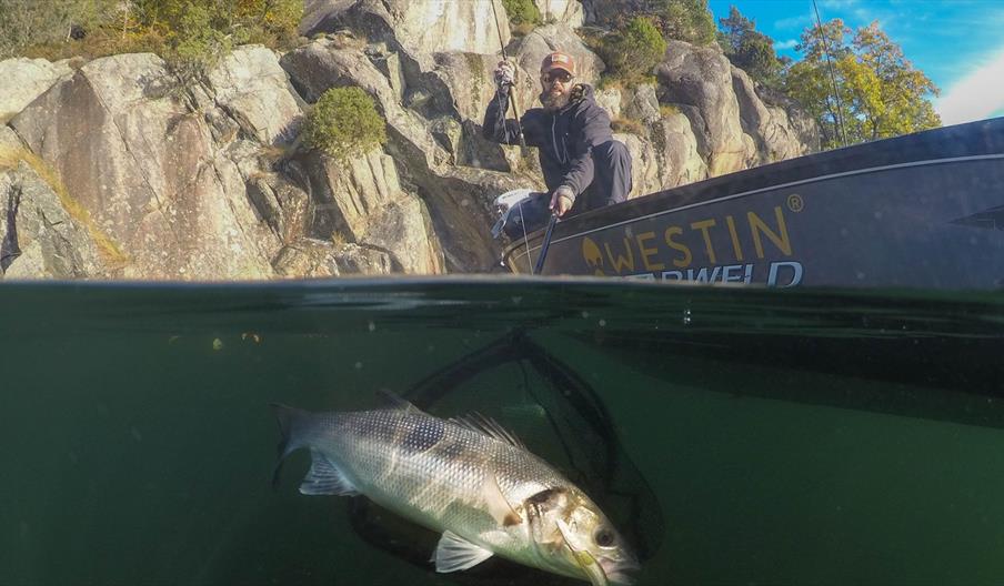 AnglerPilot Guidet fisketur og opplæring på Sørlandet