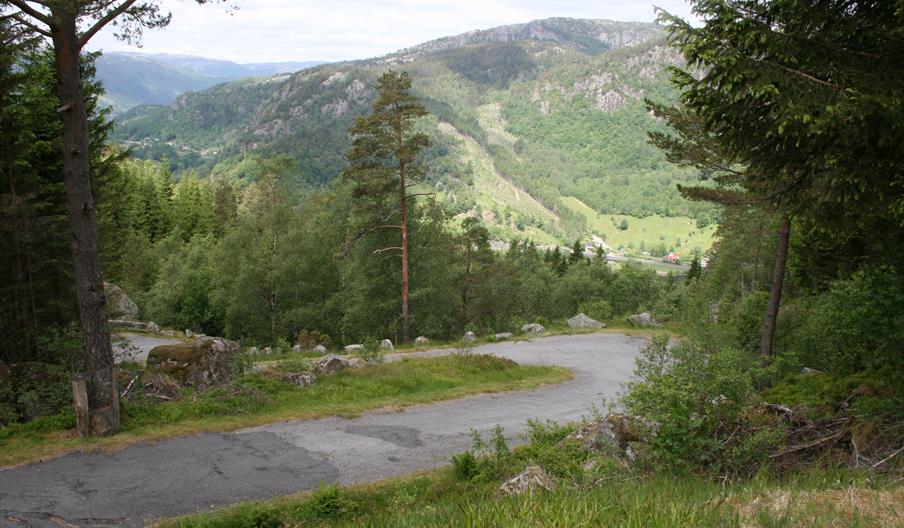 Tronåsen