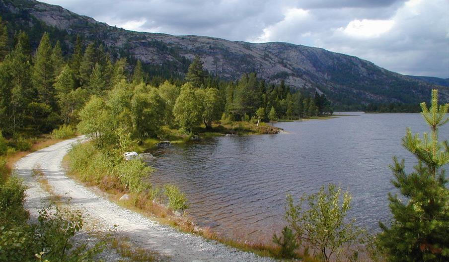 Ånebjør og Saurbu - tur/retur 16 km