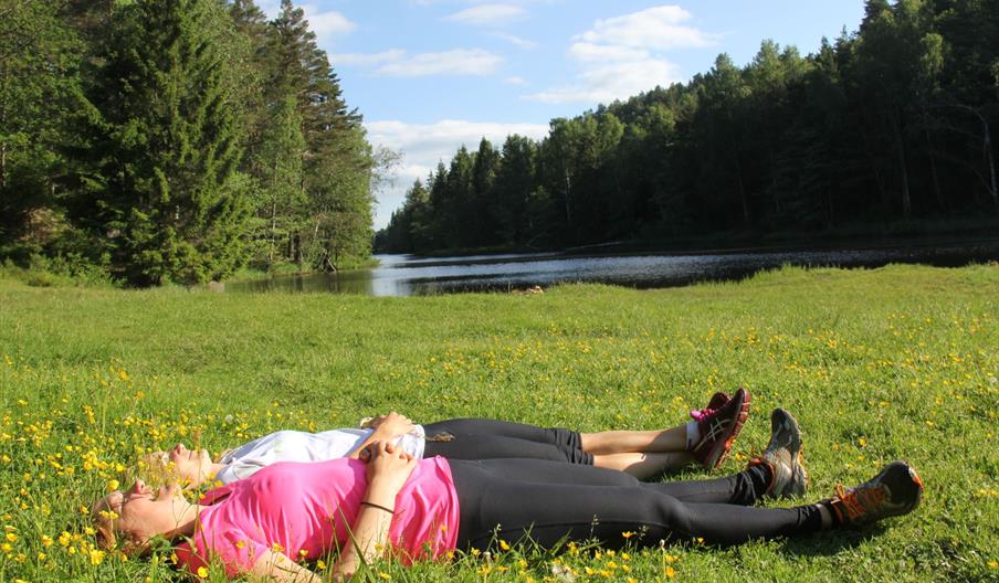 Birkenlund lysløype