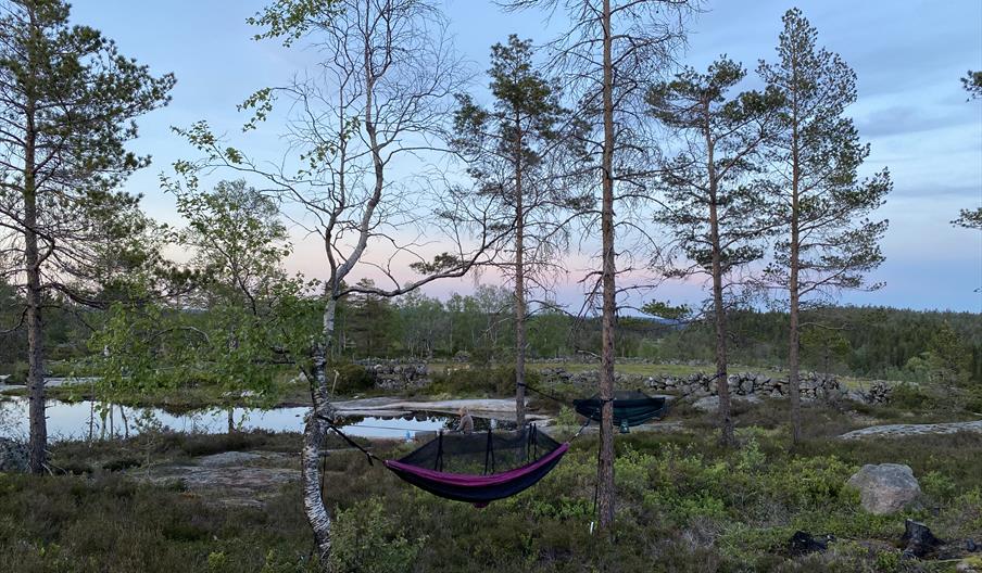 en rosa hengekøye hengende mellom 2 trær midt på bildet, og en svart litt lengre bak, en dame sitter ved vannet