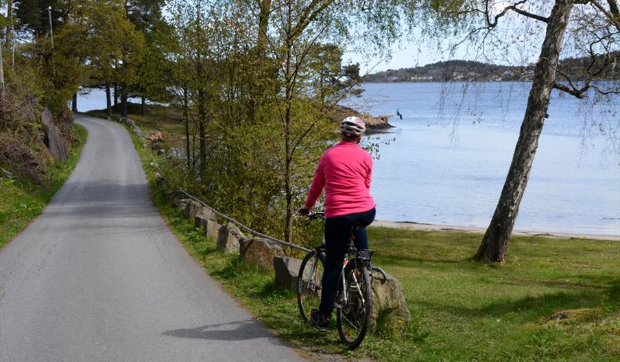 Sykkeltur på Buøya