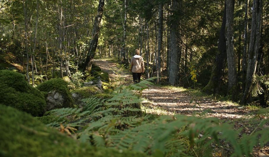 Lysløype Østre Tromøy