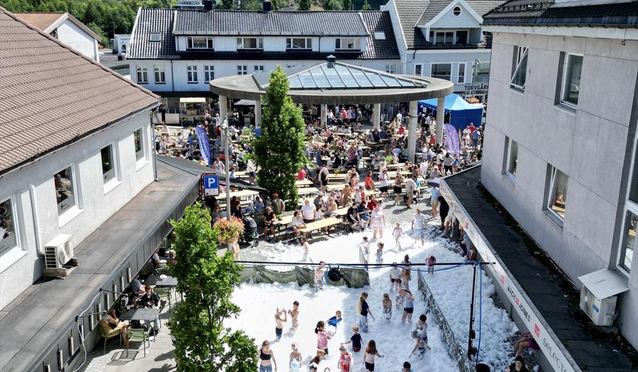 Barnas dag og midtsommerfest