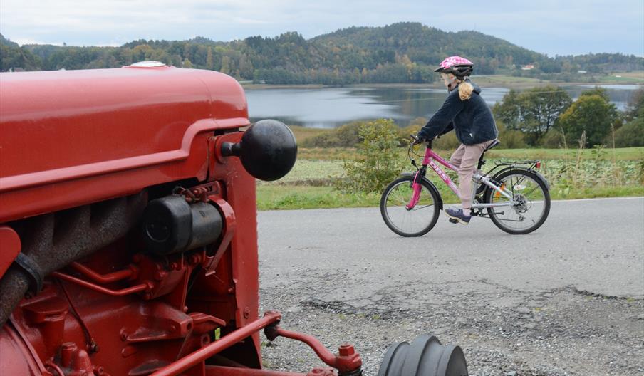 Sykkeltur "Temse rundt" 21 km