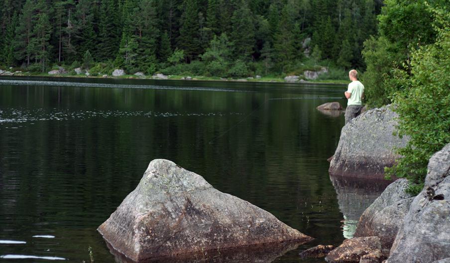 Kleivvannet