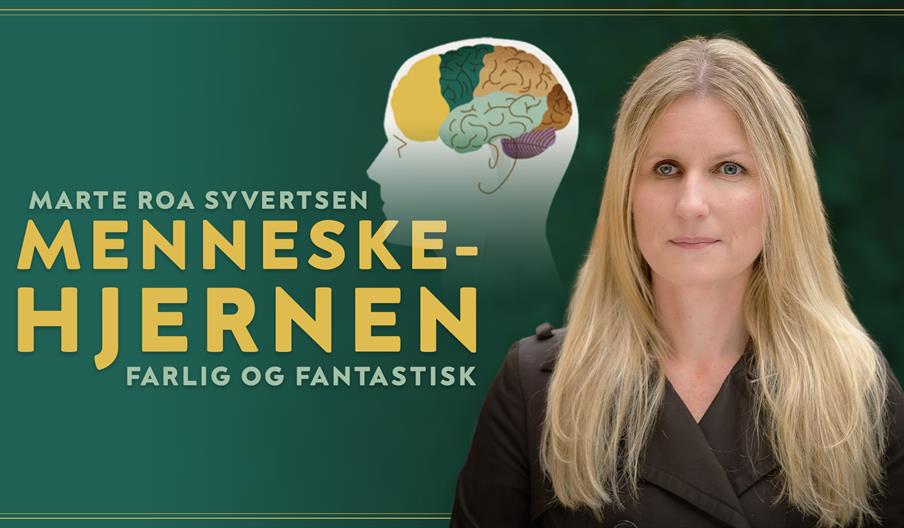 Menneskehjernen
