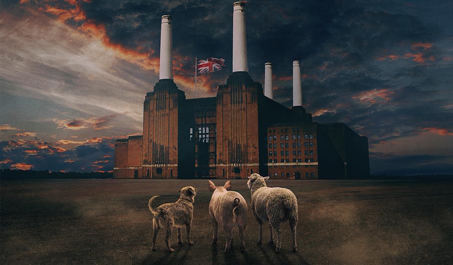 Brit Floyd – Animals 50