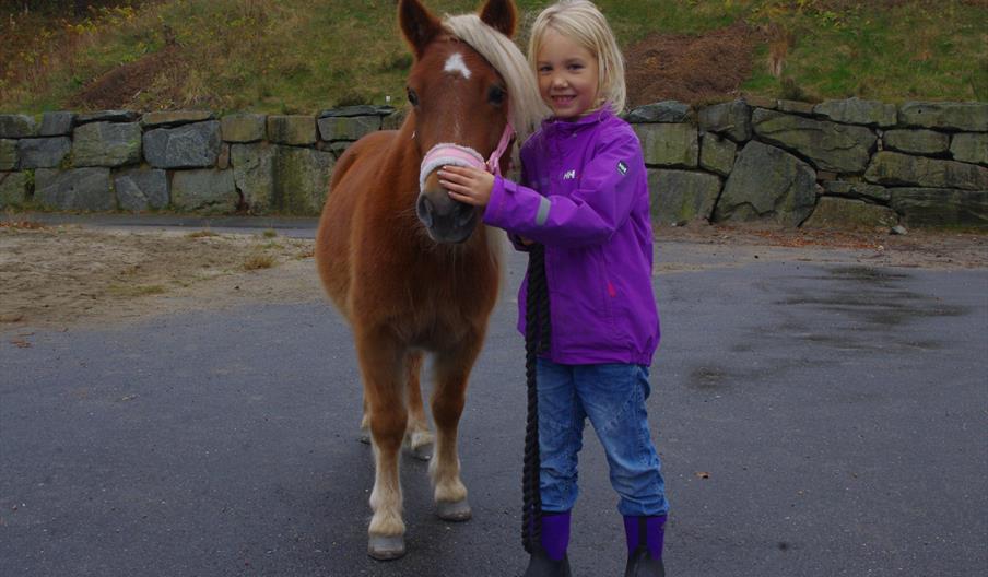 Sommerleir på Travskolen Sørlandets Travpark