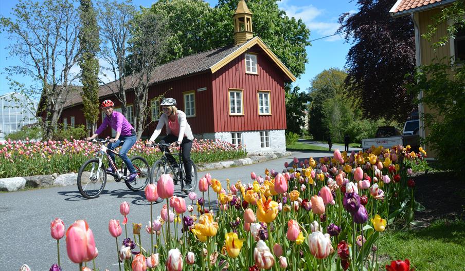 Opplev RAET i Grimstad på sykkel