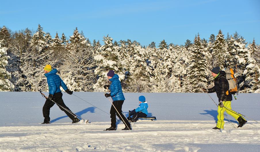 Familie på ski i vinterlandskap