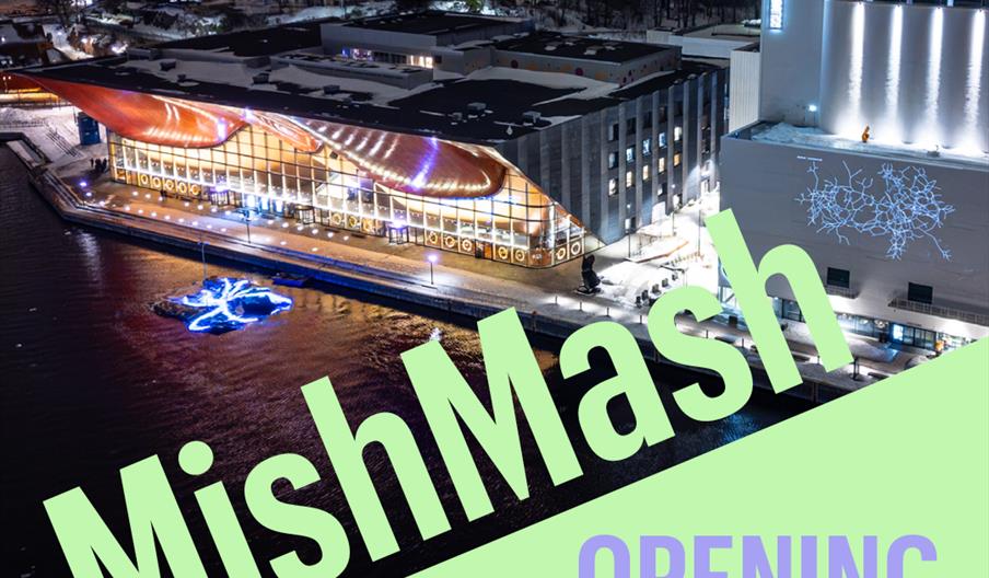 Opening Conference of the MishMash Centre for Artificial Intelligence and Creativity
