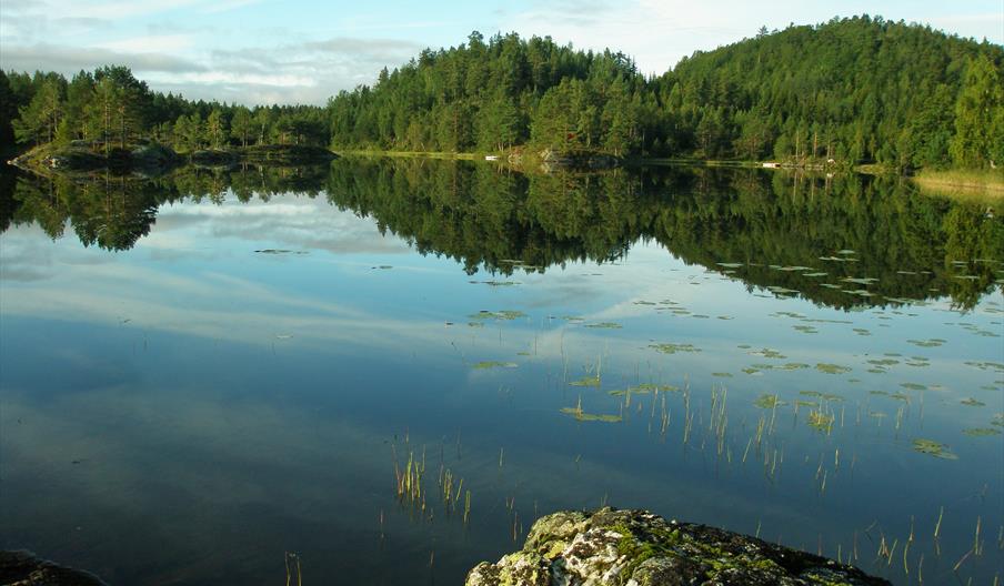 Våjemyrene