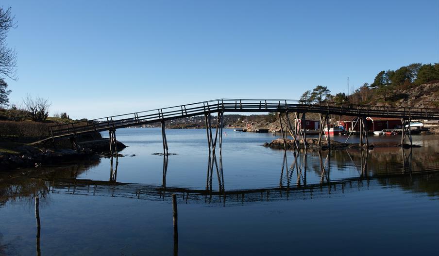 Marivold turområde