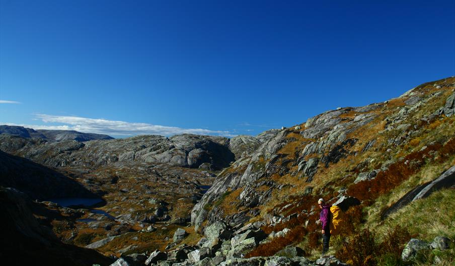 Fjelltur fra Hunnedalen til Tomannsbu