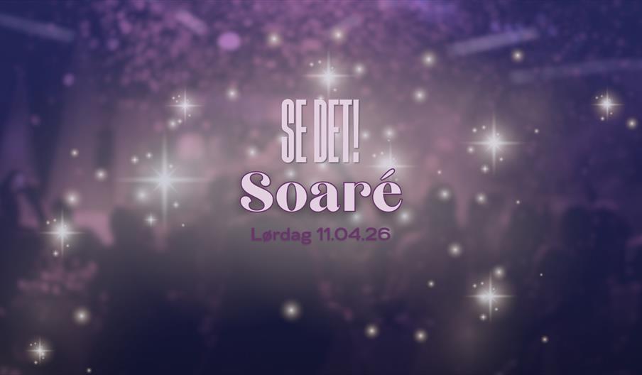 Se Det Soaré - Voksenfest 30+