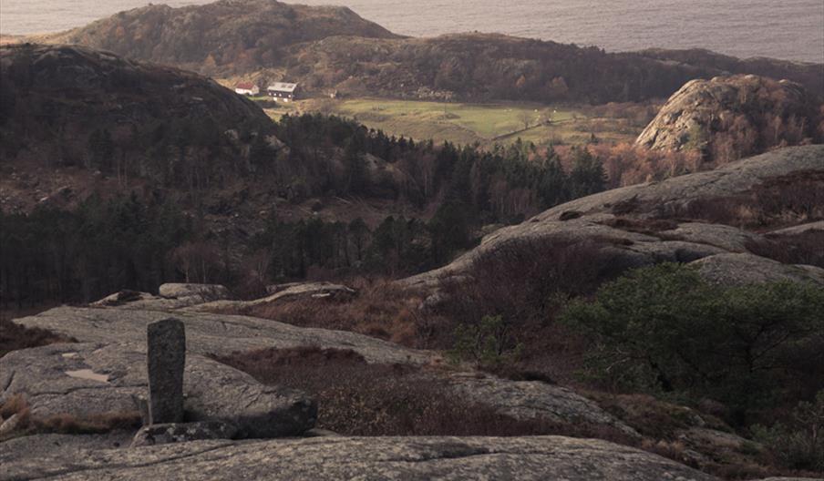 Gråfjellsveden og Rudjords Borgås Lista