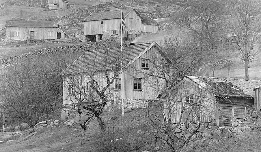 Fotograf T. Dahl's hus