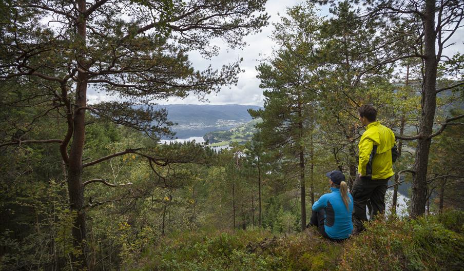 Utsikt mot Moi
