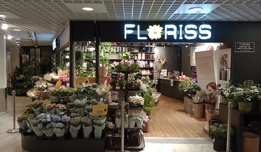 Bilde fra Floriss Tusenfryd