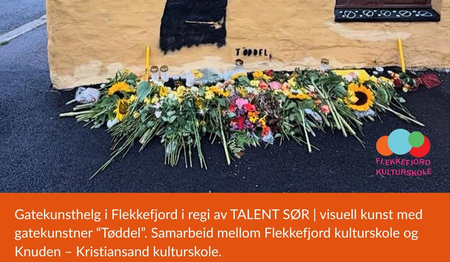 Talent Sør -Gatekunst