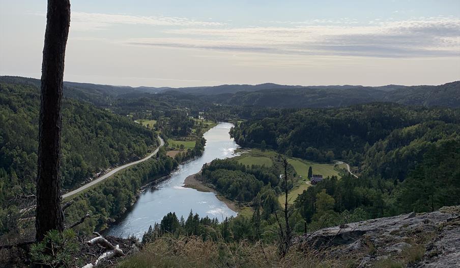 Bilde av landskap med elv midt i, vei langs vannet og skog på høyre side, få skyer på himmelen og fint vær