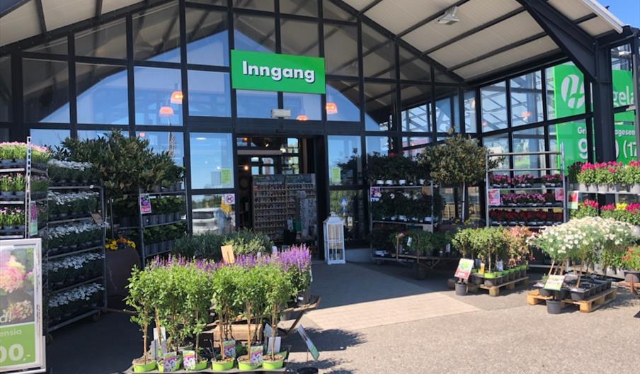 Bilde av inngangspartiet