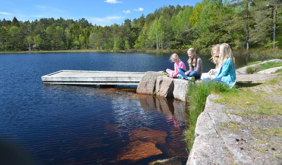 Lysløypa på Fevik