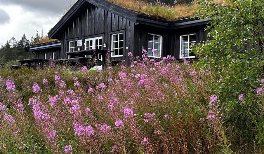 Bortelid Camping - servicebygg