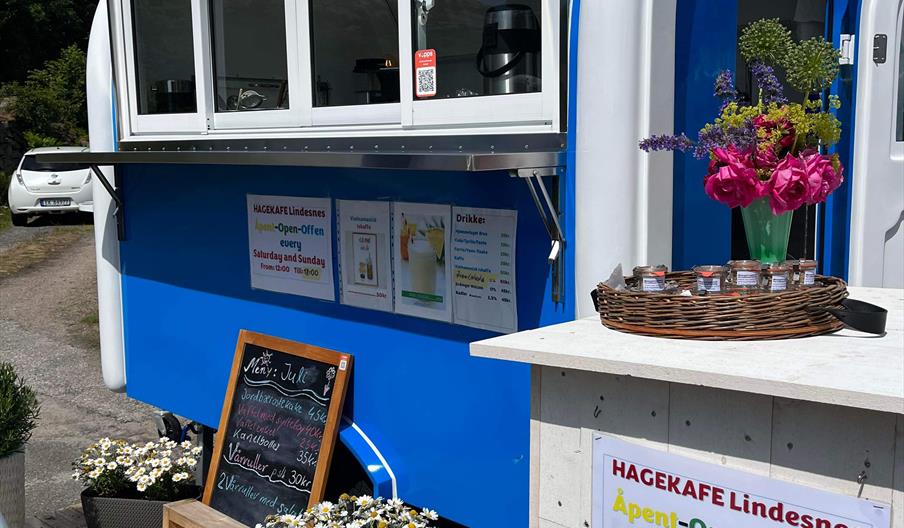 Kafé, blomster, sol
