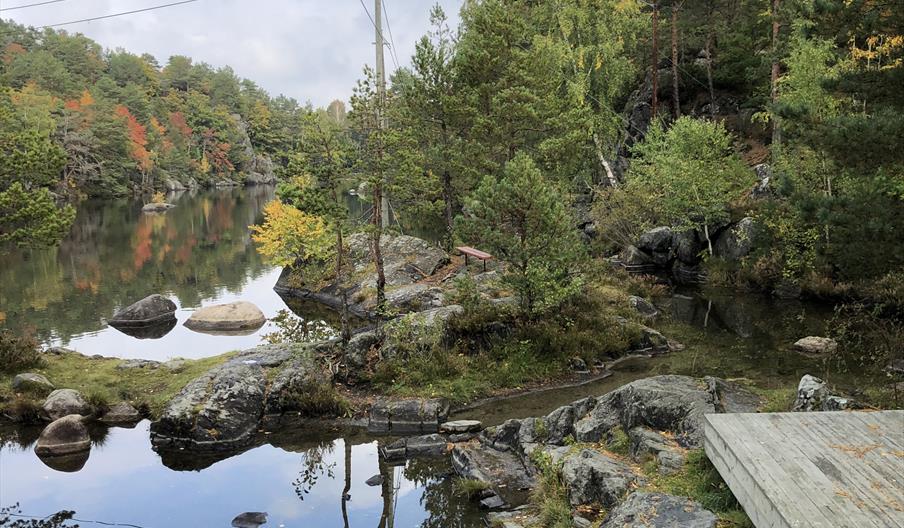 natur, vann