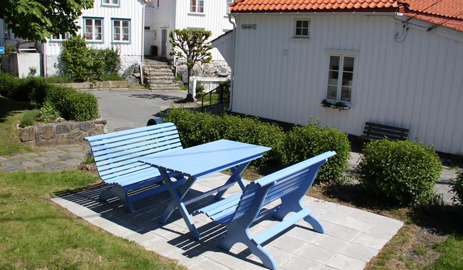 Benk Ven Blå Parken
